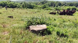 Видео 40 - Поиск дольменов в заброшенном посёлке (Махошеполяна)