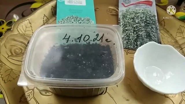И опять про Дихондру Серебро! Тестирую самосборные семена