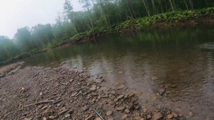 СИМА на Воблеры | 2023 часть 2