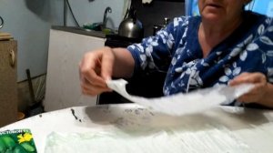 Как растить РАССАДУ огурцрв в пелёнках.