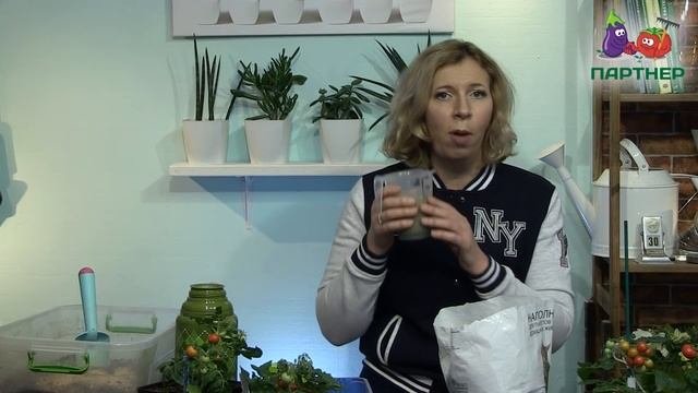 ПОДКОРМКА ДЛЯ РАСТЕНИЙ, СПОСОБНАЯ ТВОРИТЬ ЧУДЕСА