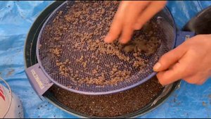 #РыбалкаОтдых. "Дунькина Гора" порадовала хорошим видом)