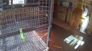 клетка для перепелов своими руками