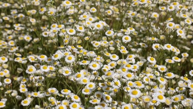 "Дырка". Евгений Чеширко. смотреть онлайн