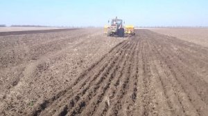 Посев анкерным сошником по пахоте.