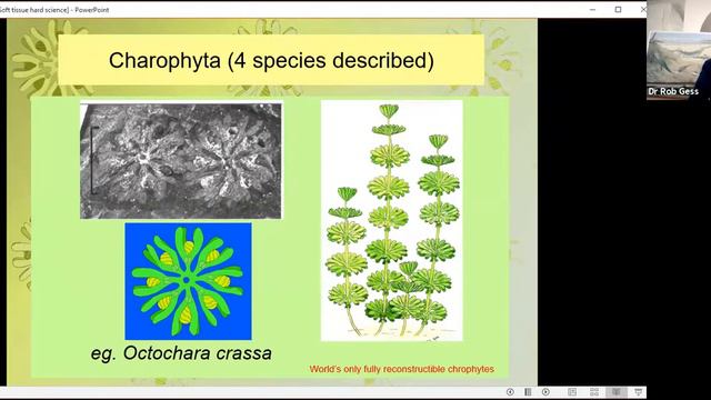 SOFT TISSUE, HARD SCIENCE – HOW 360 MILLION YEAR OLD LAMPREY INFANTS OVERTURNED A SCIENTIFIC DOGMA смотреть онлайн