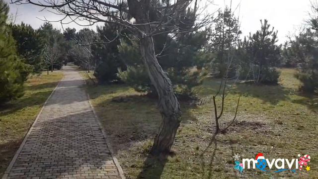 05.01.2019. Бесплатный дельфинарий в Анапе. смотреть онлайн