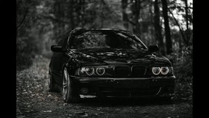 Литвиненко - Папаграмм (2019)