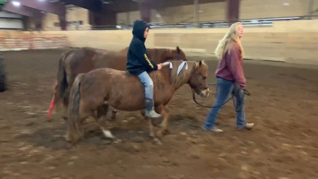 Sorrel Ponies! Winston/white, Aloe/mint green, Little Fry/Red, Dwayne/Black, Jimmy/Blue, Dory/Pink смотреть онлайн