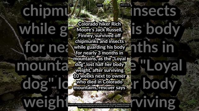 Colorado hiker Rich Moore's Jack Russell, Finney, survived off chipmunks and insects for 3 months