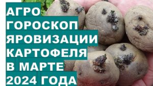 Агрогороскоп яровизации картофеля в марте 2024 Agrogoroscope of potato vernalization in March 2024