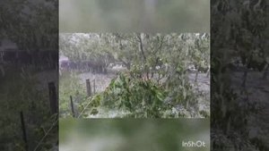 Жесть в городе Валуйки