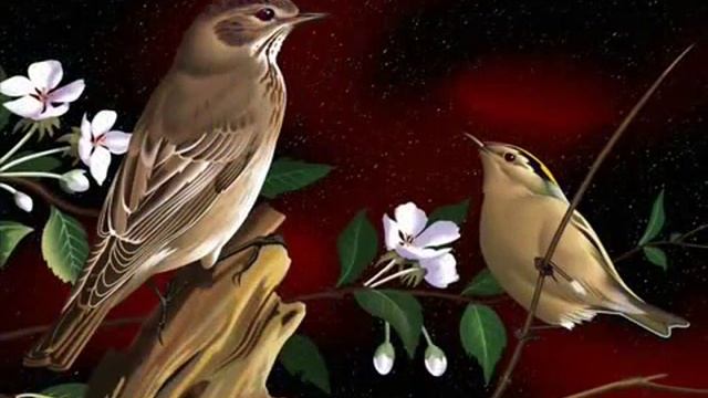 МИР ЖИВОТНЫХ жаворонок орк Поля Мориа смотреть онлайн