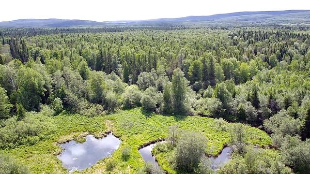 Оз. Таватуй, Верх-Нейвинский пруд (устье р. Нейва, залив Нейвица). SJRC F11s. смотреть онлайн