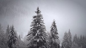 ?31 января–Афанасьев день. Что нельзя делать?? Приметы и поверья