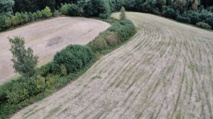 Oblivion Insta360 One R 1 inch