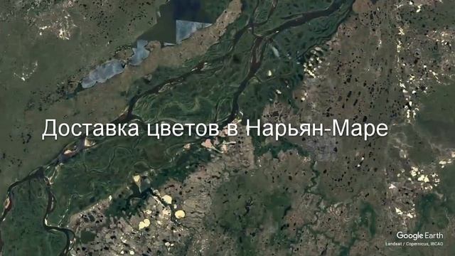 Доставка цветов в Нарьян-Маре - Заказ букетов от компании Скорая подарочная помощь смотреть онлайн