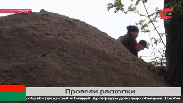 Остатки мамонтов, шерстистых носорогов, бизонов и лошадей нашли ученые в устье реки Манья смотреть онлайн