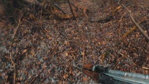 COVID-19 CORONAVIRUS ZOMBIE 15 first person (pov)