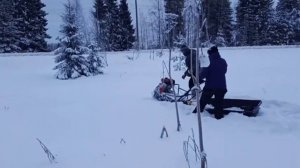 Мотобуксировщик ныряем в сугробы!!!Forza 6,5 мотобуксировщик.