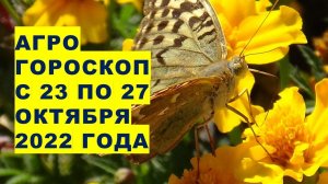 Агрогороскоп с 23 по 27 октября 2022 года