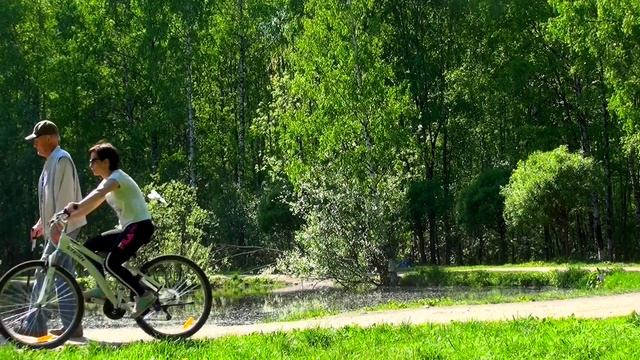 В лесопарке зацвели тополя