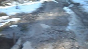 Апрель на даче. Мостик через ручей