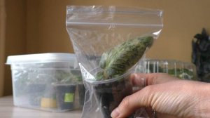 ИНСТРУМЕНТЫ-ПОМОЩНИКИ ПО УХОДУ ЗА ФИАЛКАМИ ? Теплички для фиалок и многое другое ?