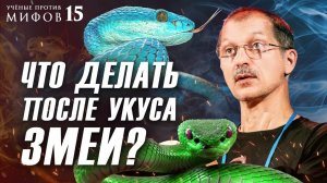 10 вредных советов при встрече со змеей. Евгений Рыбалтовский. Ученые против мифов 15-8