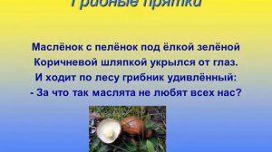 Презентация для детского сада: "Съедобные и несъедобные  грибы"
