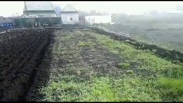 мотоблок Нева мб-23 я mx 300 мультиагро работа сохой целина первая обработка