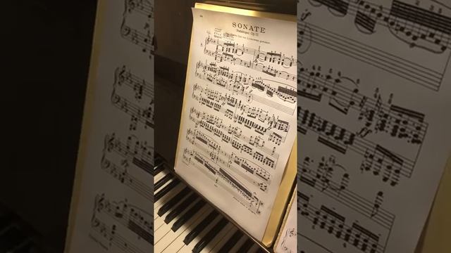 Фрагмент урока online Beethoven Sonata op.13 “Pathétique » Movement 1 Introducti.mp4