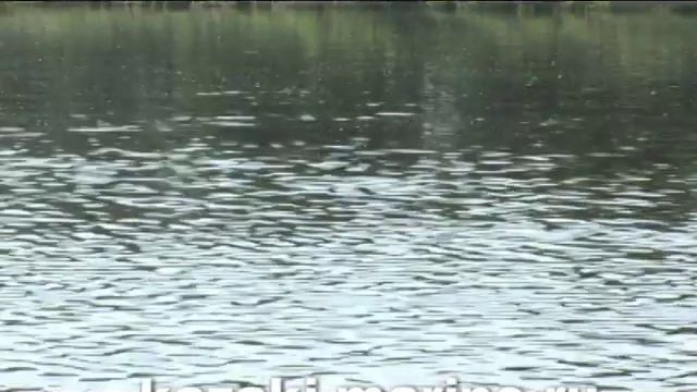 Песни у реки Дон народные песни казаков смотреть онлайн