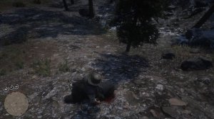 Где найти ЧЁРНОГО МЕДВЕДЯ в RDR2 | Превосходная шкура чёрного медведя