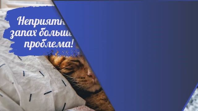 Удаляем неприятный запах от питомцев смотреть онлайн