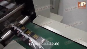 Сервоприводной горизонтальный упаковочный автомат MAGIKON 350AGXS