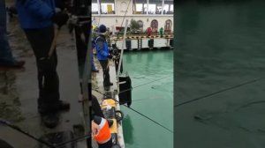 Бешеный клёв радужной форели на Черноморском побережье. Сочи. Туапсе. Размыло форелевые хозяйства