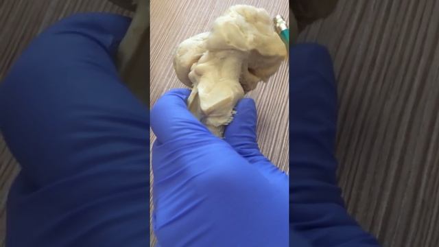 Средний мозг смотреть онлайн