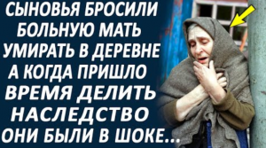 Сыновья бросили старенькую мать в заброшенной деревне, а когда приехали делить наследство...