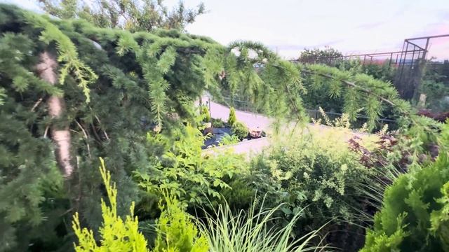 У Гнединых НОВЫЙ АДВОКАТ, а бывший, лишенный статуса и выдворенный АДвокат рассказывает сказки))) смотреть онлайн