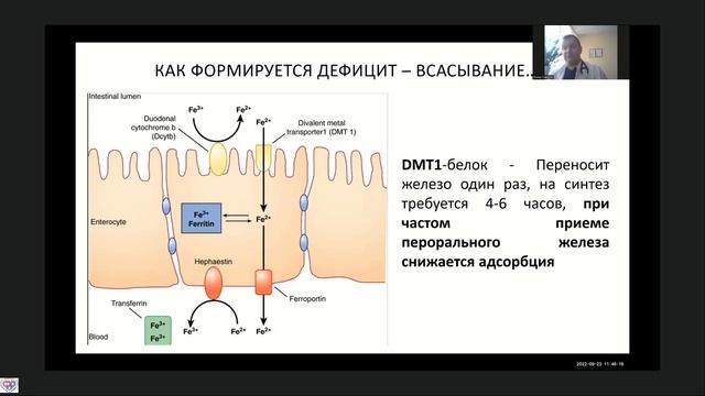 Причины дефицита железа Симутис И.С. смотреть онлайн