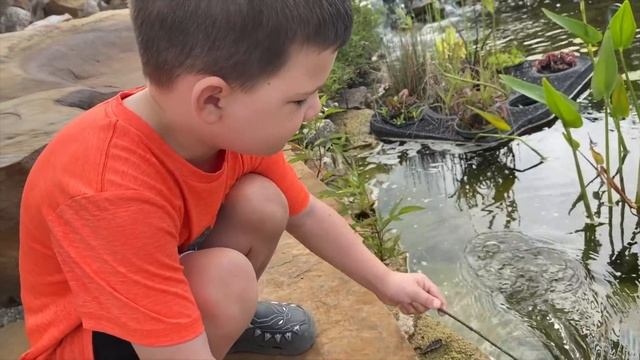 Caleb Bug Hunt Camping Adventure! Catching Bugs at the Playground with Mommy! смотреть онлайн