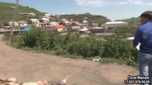 свадьба  село  дзилебки  17 07 2017  поет  сайпулагь   алиев