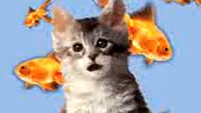 Kotik.3gp смотреть онлайн