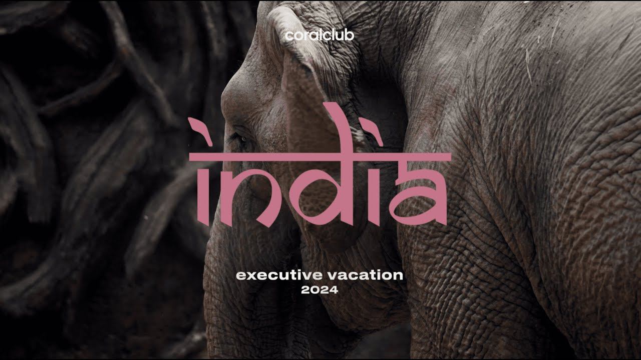 EXECUTIVE VACATION 2024 PROMO смотреть онлайн