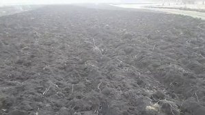 Обработка целины. Часть 1. Вспашка.