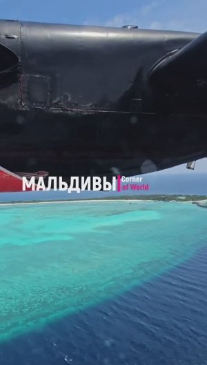 Shorts || МАЛЬДИВЫ - Отвези меня на МАЛЬДИВЫ #Мальдивы #остров #гидросамолет