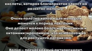 Все полезные свойства халвы