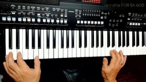 Status Quo - In The Army Now cover on Yamaha PSR SX-600