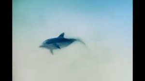 Фильмы про море: ТОП-6 лучших экранизаций морской литературы